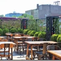 <p>The outdoor area of The Village Beer Garden in Port Chester.</p>