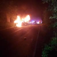 <p>A vehicle burst into flames after the driver lost control and hit a tree.</p>