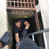 <p>A Norwalk firefighter goes to great depths to save a duckling.</p>
