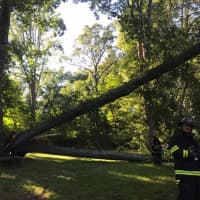 <p>An older tree fell on a house in Croton over the weekend.</p>