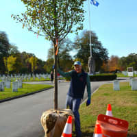 <p>Sig Buchmayr, Tree Conservancy board member, holding a new Chanticleer Pear Tree at the Veterans Cemetery.</p>