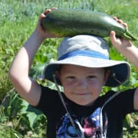 <p>One of HealthBarn USA&#x27;s, young farmers shows off his homegrown produce at Abma Farms in Wyckoff.</p>