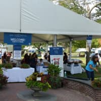 <p>The 5th annual Greenwich Wine+Food Festival is presented by Serendipity magazine.</p>