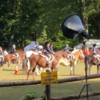 <p>The Peekskill Rotary Club had its 45th annual horse show at Blue Mountain Park. </p>
