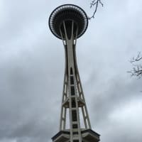 <p>The Space Needle in Seattle.</p>