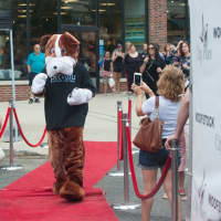 <p>Dogs of all sizes can walk the red carpet at Woofstock.</p>