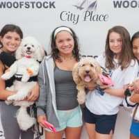 <p>Dogs and owners strike a pose at the 2015&#x27;s Woofstock.</p>