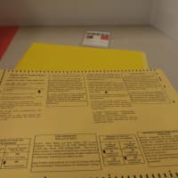 <p>A registered voter casts just one vote in the presidential primary.</p>