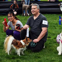 <p>Dogs got to show off their skills and other fine features at the 2016 Bark for Education Canine Carnival and Dog Show.</p>