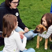 <p>Many two- and four-legged attendees experienced the 2016 Bark for Education Canine Carnival and Dog Show.</p>
