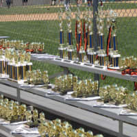 <p>Trophies and awards from the HHLL annual picnic</p>