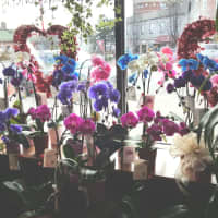 <p>The window display of Poppies Florist in Rutherford.</p>