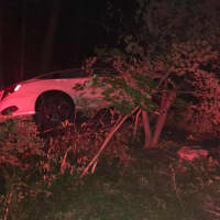 <p>A driver who fell asleep at the wheel was not injured when his vehicle hit the trees.</p>