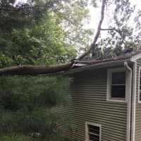 <p>No one was home and no one was injured when a tree fell on a house in Monroe on Sunday afternoon, said the Stepney Volunteer Fire Department.</p>