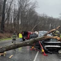 <p>The scene of the tree on the SUV in Quarryville.&nbsp;</p>