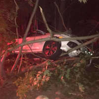 <p>A driver ended up in the trees after falling asleep at the wheel.</p>