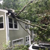 <p>A house in Monroe was damaged when a tree fell on it on Sunday, said the Stepney Volunteer Fire Department.</p>