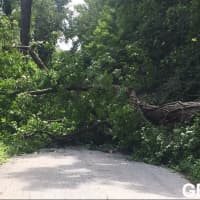 <p>The new engine&#x27;s first call was for a tree blocking a roadway.</p>
