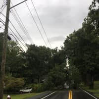 <p>Christian Herald Road is closed due to a downed tree.</p>