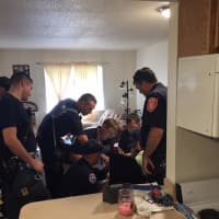 <p>Danbury firefighters work to rescue a dog with its foot stuck in a tub drain.</p>