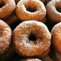 <p>Apple cider doughnuts from Wilkens Fruit and Fir Farm in Yorktown Heights.</p>