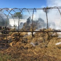 <p>The greenhouse that caught fire was filled with bails of hay.</p>