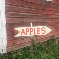 <p>Apple signage at Cedar Heights Orchard in Rhinebeck.</p>
