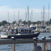 <p>Greenwich marine police assist in the search for a missing swimmer in Stamford.</p>