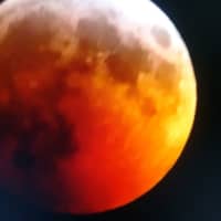 <p>The Super Blood Wolf Moon was on full display Sunday</p>