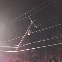 <p>A teenage driver struck a telephone pole and split it in two, causing power outages in Ramapo.</p>