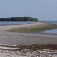 <p>At low tide, a sandbar reaches from Silver Sands State Park in Milford to Charles Island.</p>