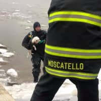 <p>Danny Goswick get help from fellow firefighters rescuing a dog near Nyack.</p>