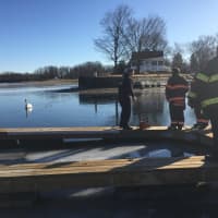 <p>Danbury firefighters saved a swan trapped on the ice.</p>