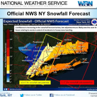 <p>Snowfall projections for downstate New York.</p>