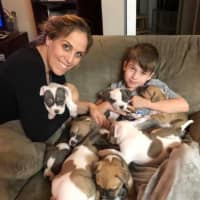 <p>Lisa Romano Adamek and Damien took in the eight puppies and their mom, Holly.</p>