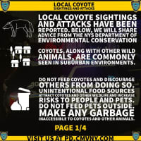 <p>Police released advice to avoid becoming the victim of a coyote attack.</p>