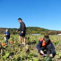 <p>A family enjoys an outing at Paproski Castle Hill Farm in Newtown.</p>