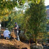 <p>Darien Tree Conservancy recently celebrated the milestone of installing 600 trees. Members are seen here planting trees at the police station.</p>