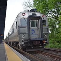 <p>Metro-North will add trains for the Women&#x27;s March.</p>