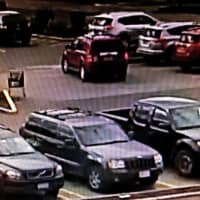 <p>Police in Ramapo have released photos of a woman who allegedly stole a purse from a shopping cart and taking off in a Jeep.</p>