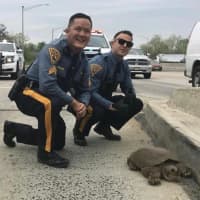 <p>New Jersey State Troopers rescued a snapping turtle from the New Jersey Turnpike Friday.</p>