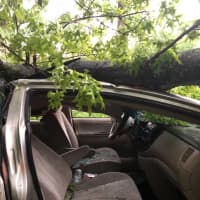 <p>Hasbrouck Heights firefighters cut a driver from a car on Bernard Place after a tree fell on it.</p>