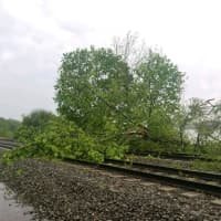 <p>Metro-North crews worked overnight to remove more than 100 trees from tracks.</p>