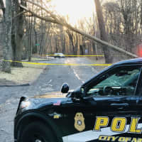 <p>A tree fell in Norwalk in the area of Nursery St at Nursery Court.</p>