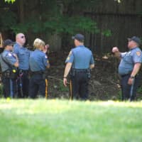 <p>Officers wait underneath the tree.</p>