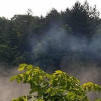 <p>A fire broke out at the Kensico Reservoir Peninsula on Monday, leading to a swift response from first responders.</p>