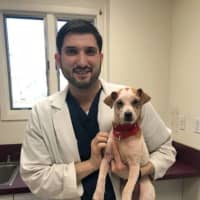 <p>Dr. Andrew Rosenberg with his skin patient and newly-adopted dog, Lillian.</p>