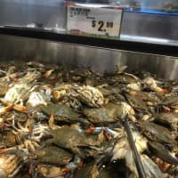 <p>Live crabs in the seafood section.</p>