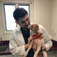 <p>Dr. Andrew Rosenberg with his skin patient and a newly-adopted dog, Lillian.</p>
