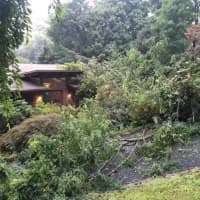 <p>A tree was knocked down and struck a Rockland County home.</p>